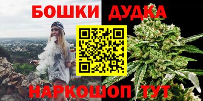 гидра Камышлов