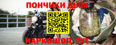 гидра Камышлов