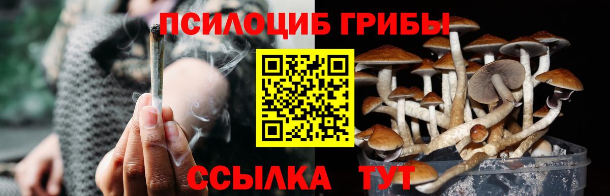 Галлюциногенные грибы Magic Shrooms  Вход с VPN  Красный Сулин  Псилоцибиновые грибы прущие грибы 